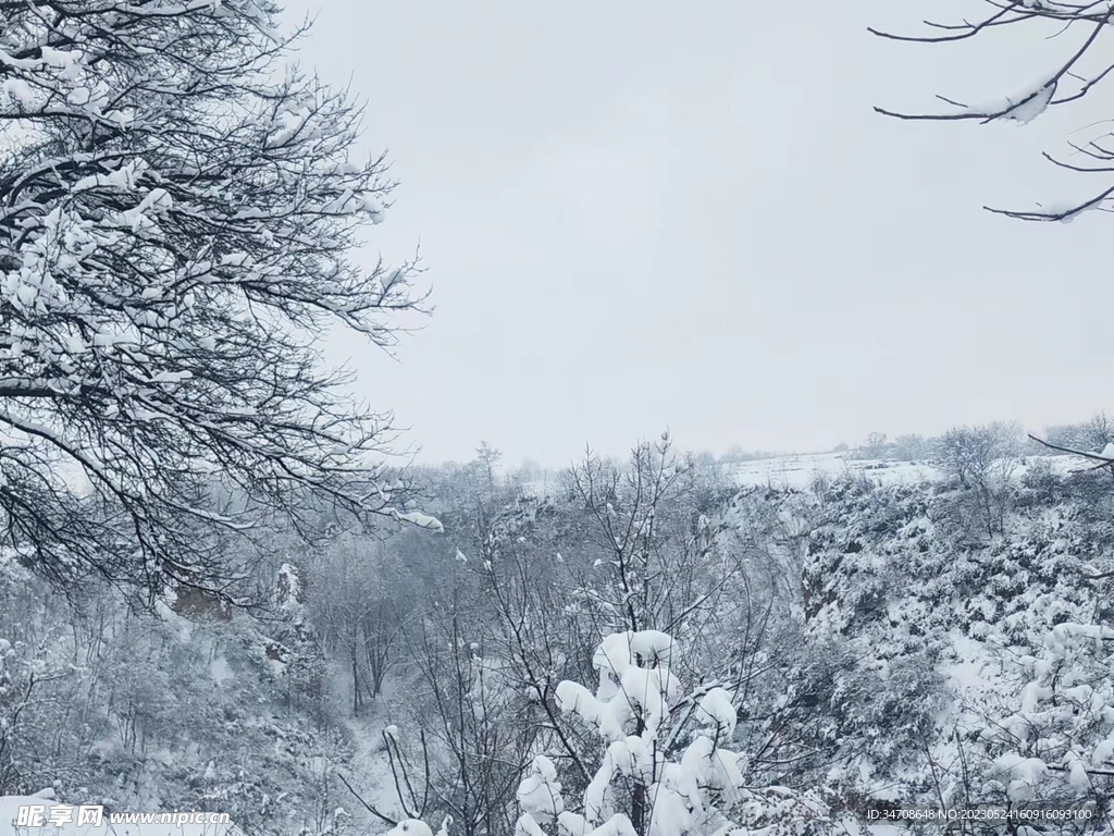 雪景图