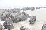 海中怪石