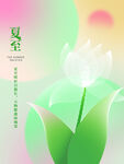 夏至节气
