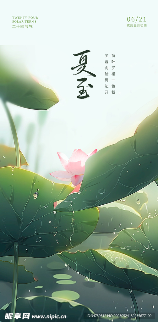 夏至海报