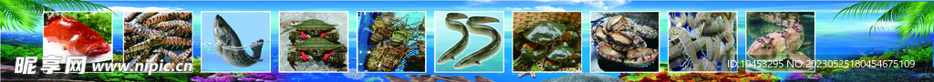 海鲜图片