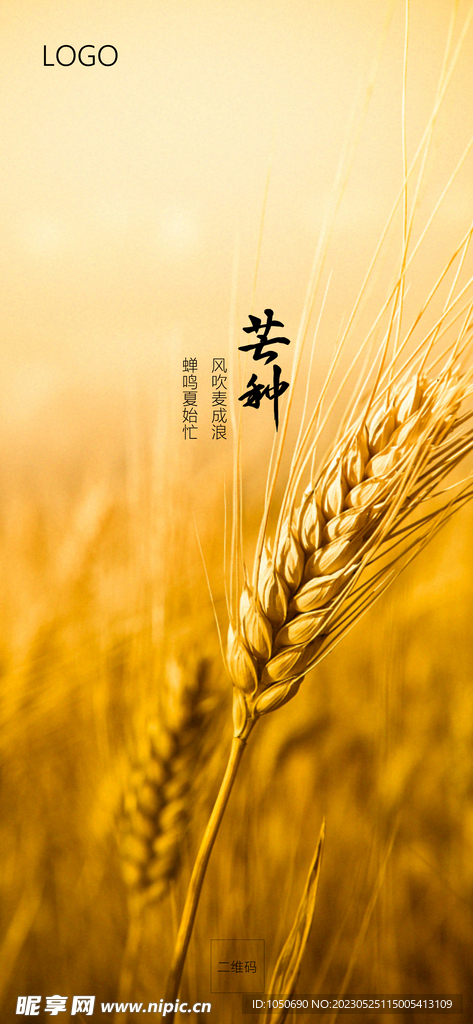 芒种节气海报