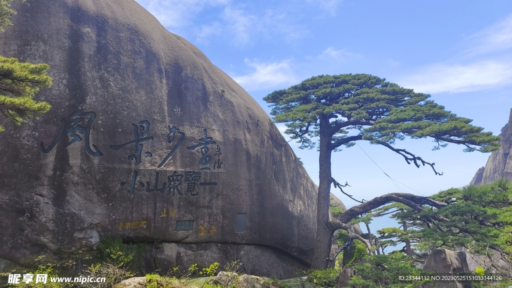 黄山迎客松