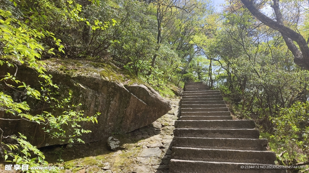 山间小路