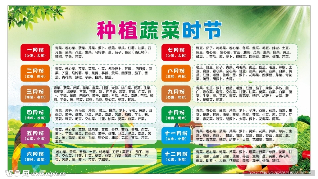 种植蔬菜时节