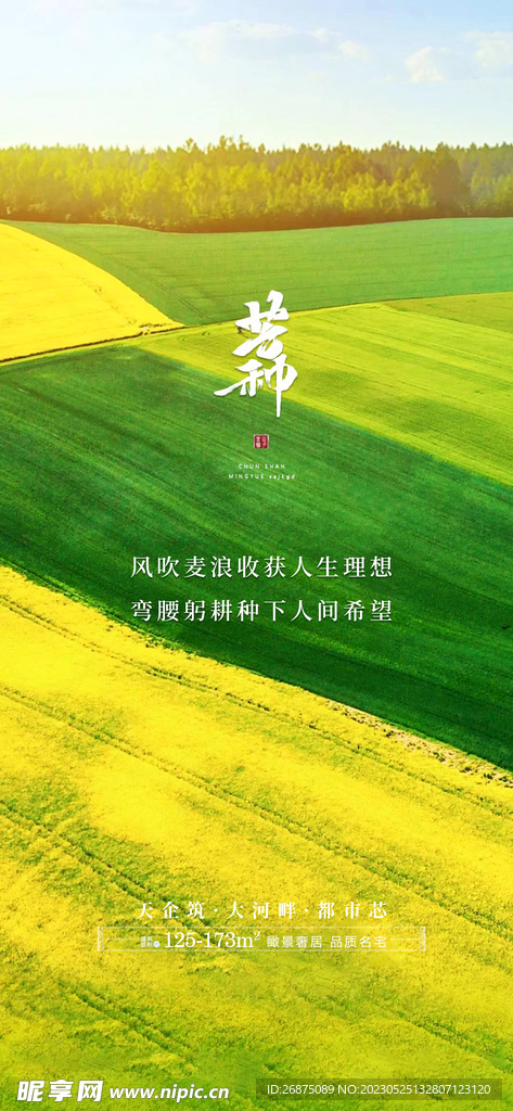 芒种海报