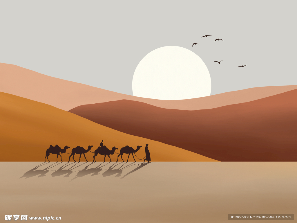 沙丘 沙漠