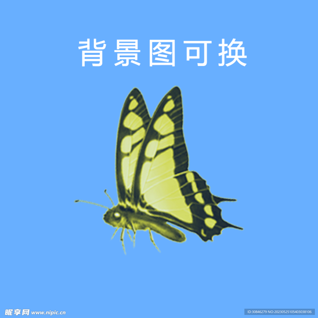 蝴蝶