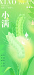 小满