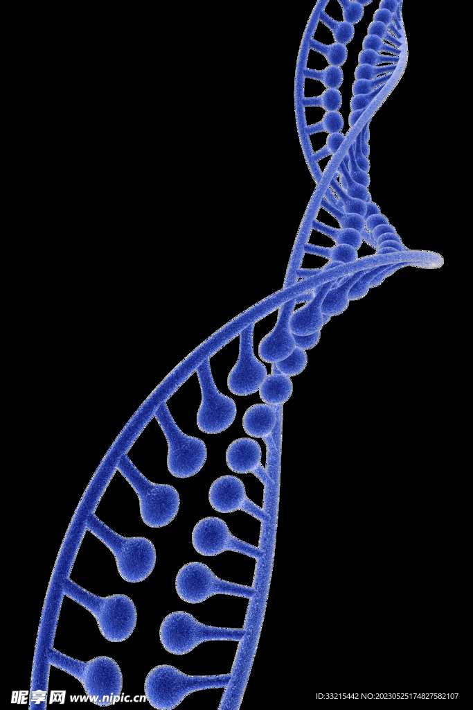 分子DNA