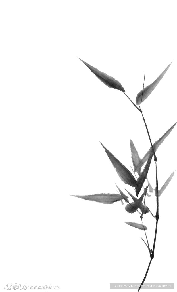 竹子素材           