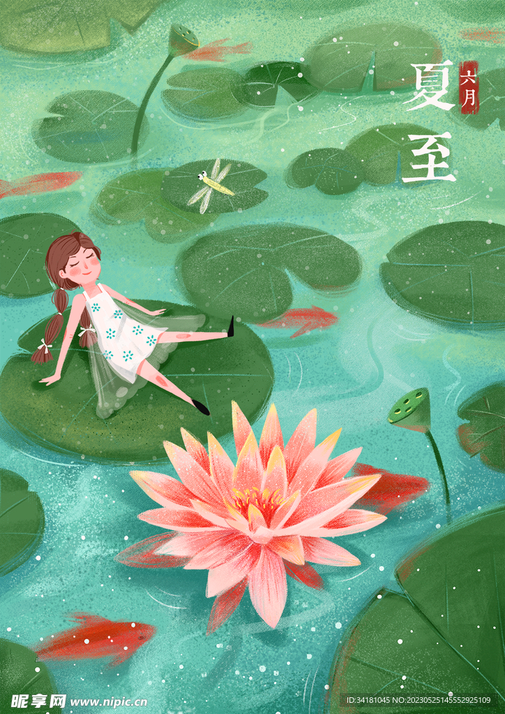 夏至插画