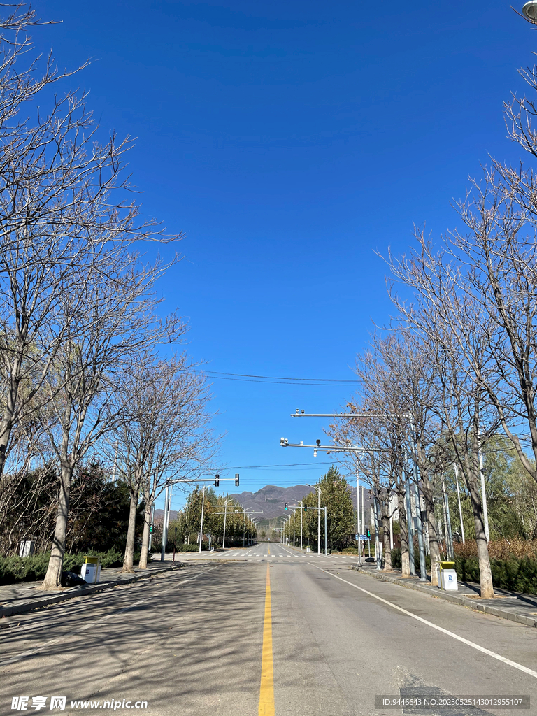 冬日马路