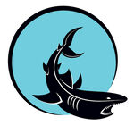 鯊魚