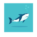 鯊魚