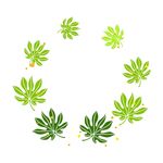 植物叶子边框  