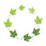 植物叶子边框  