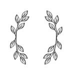 花纹 花边  