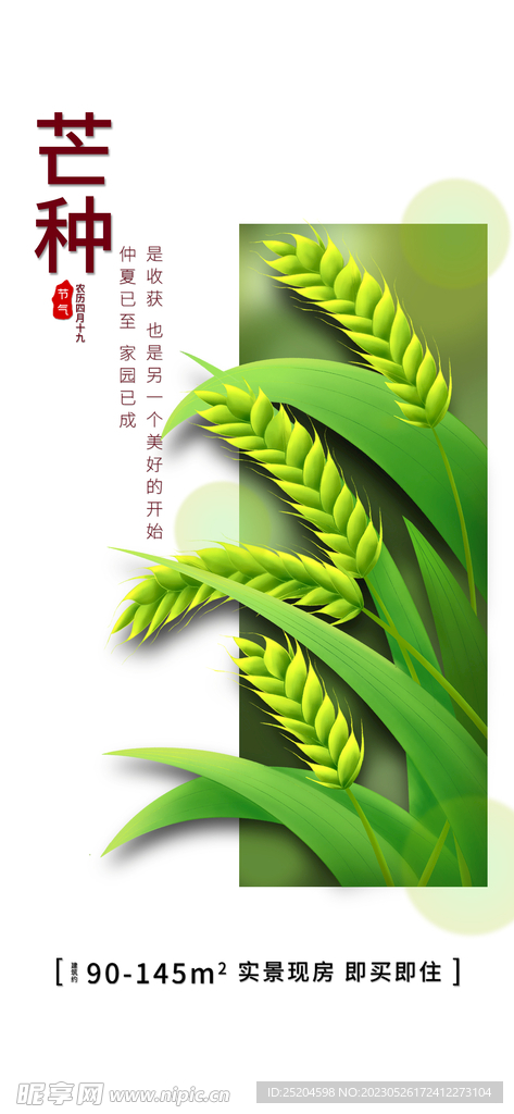 芒种