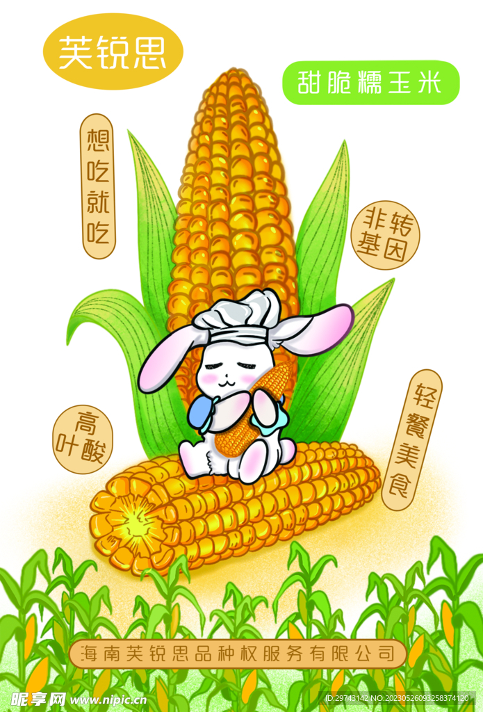 玉米包装插画
