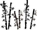 竹子手绘