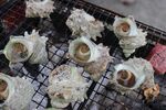 海鲜烧烤