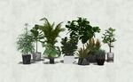 绿色植物盆栽模型