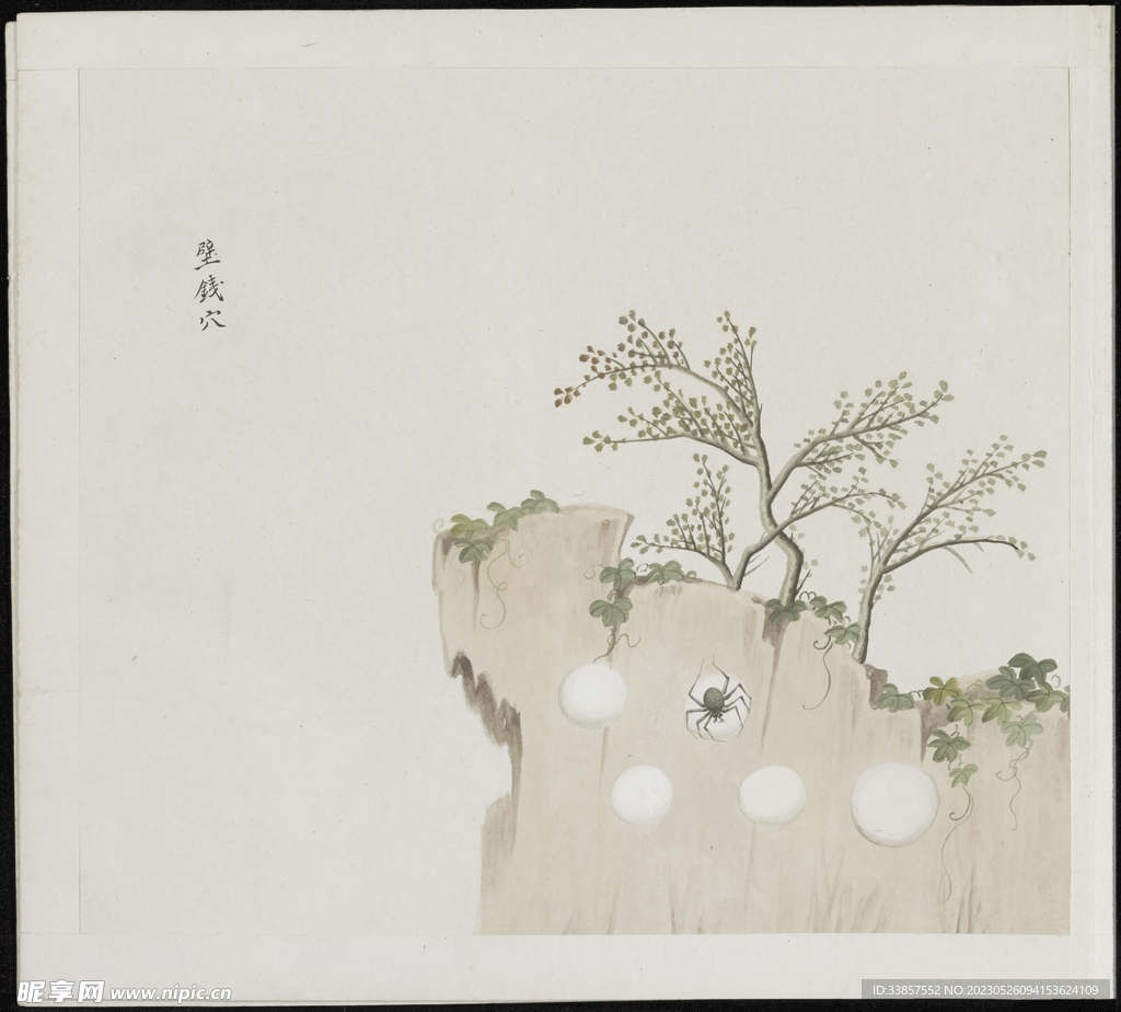 彩绘本草           