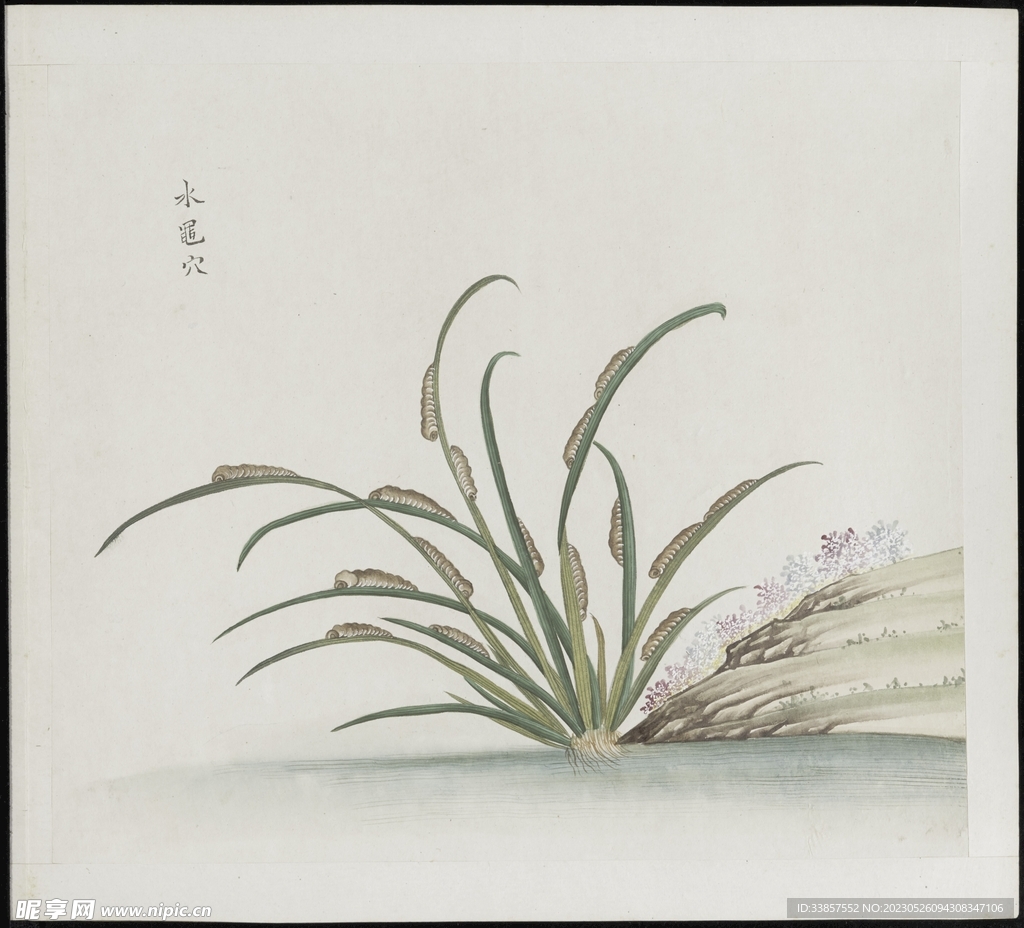 彩绘本草           
