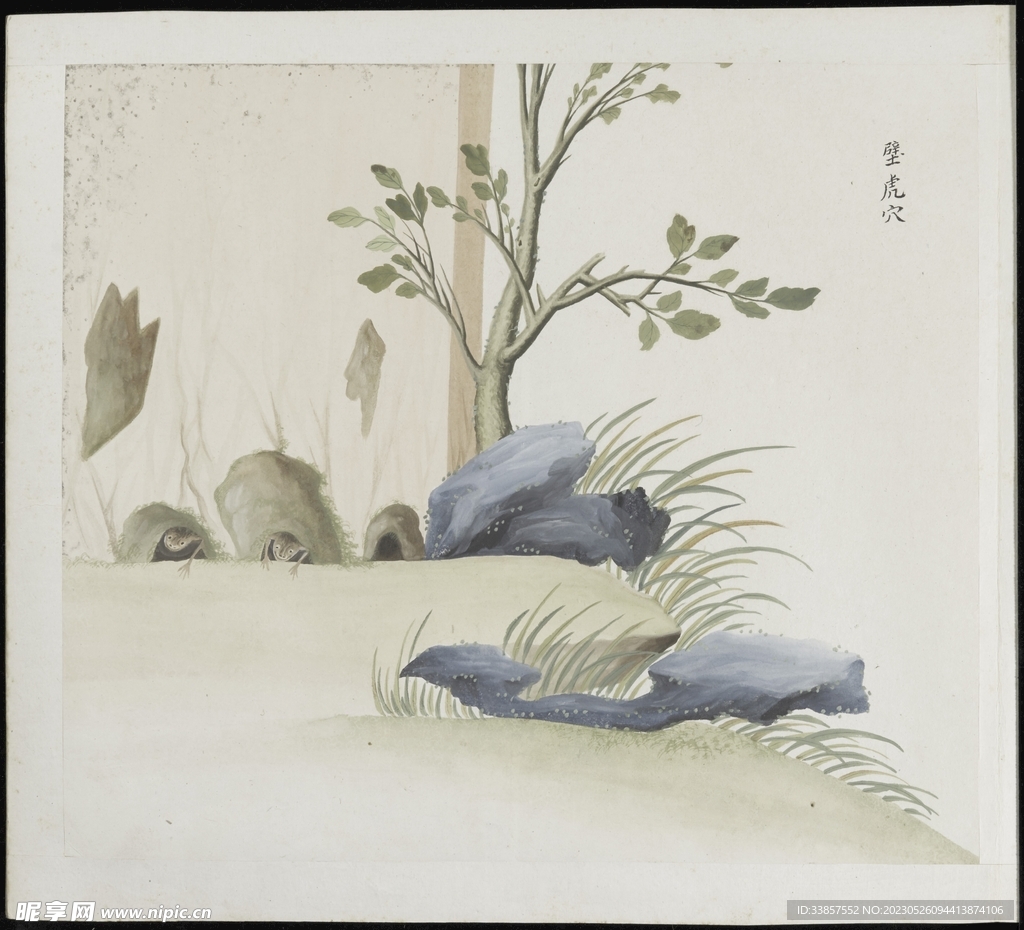 彩绘本草           