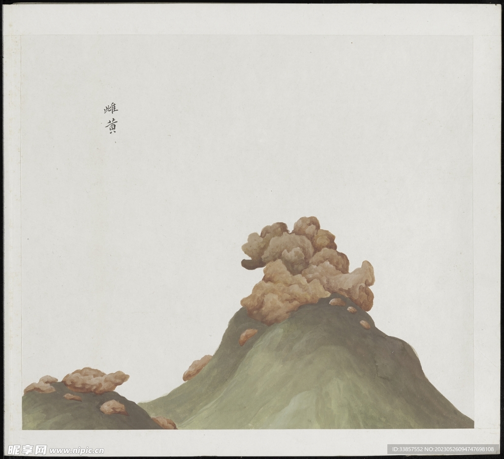彩绘本草           