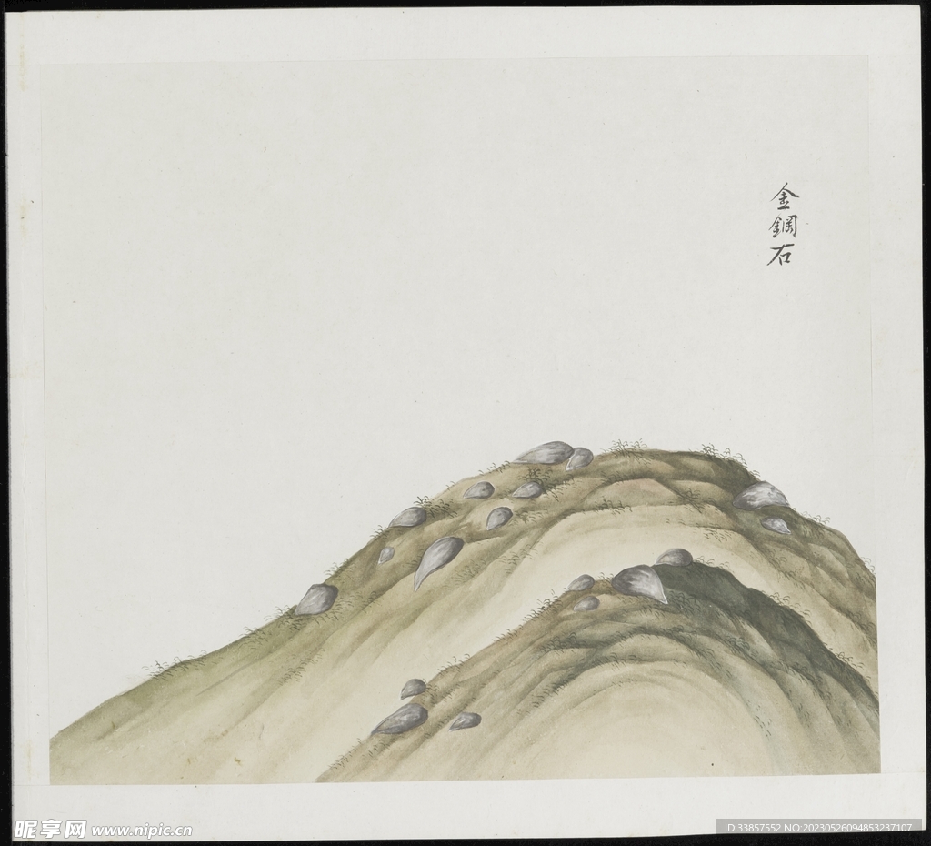 彩绘本草           