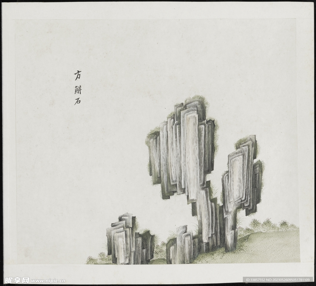 彩绘本草           