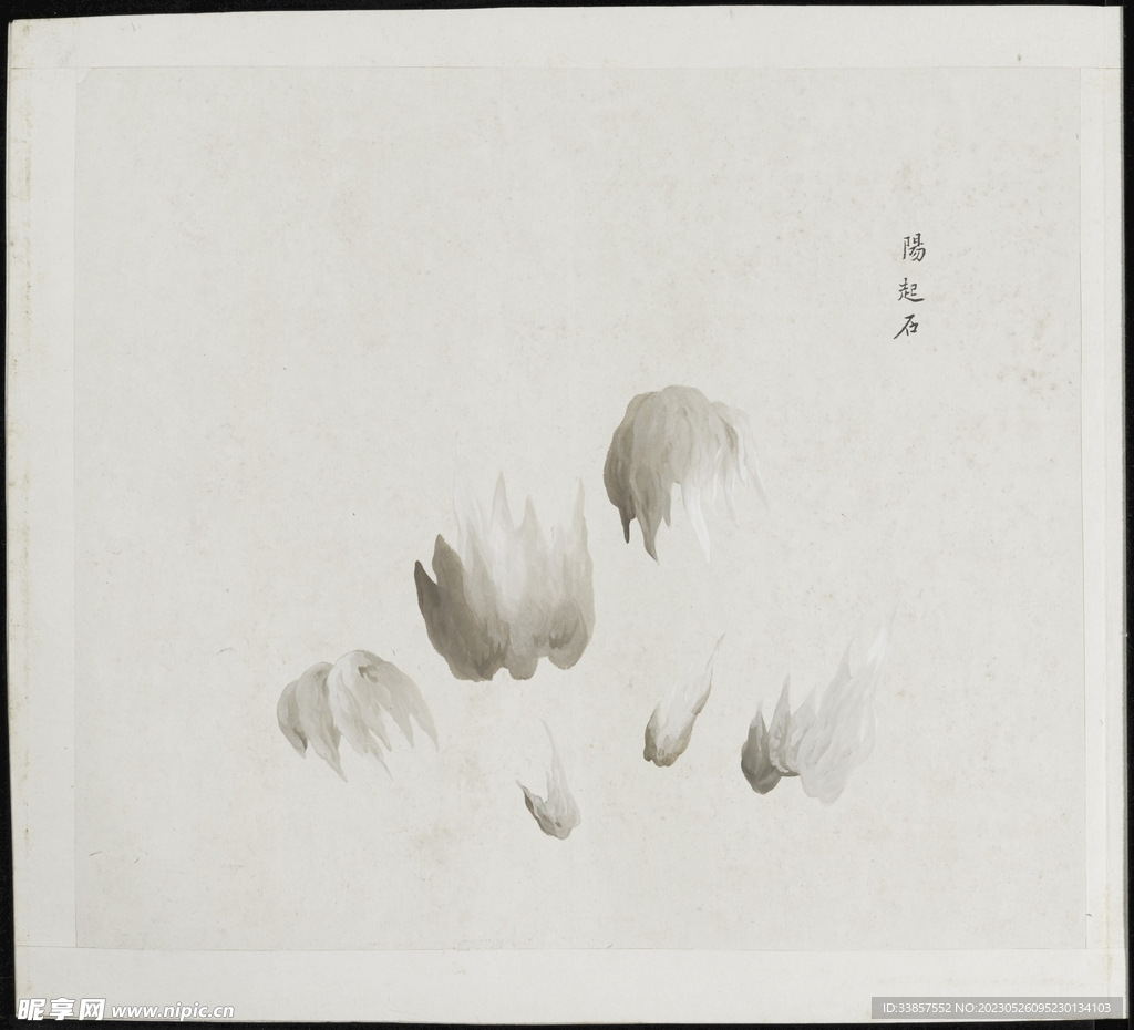 彩绘本草           