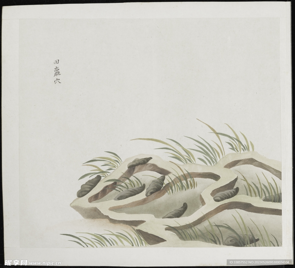 彩绘本草           