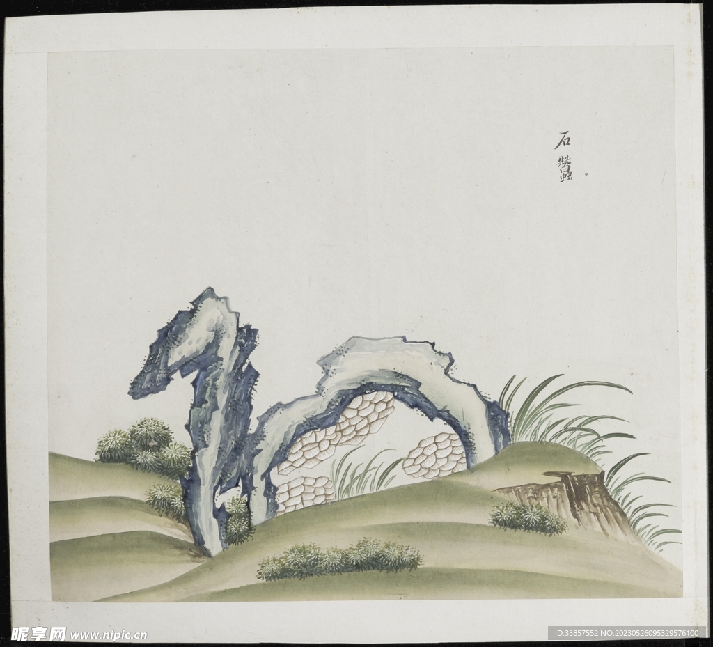 彩绘本草           