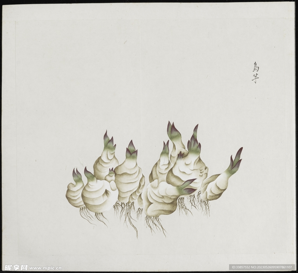 彩绘本草           