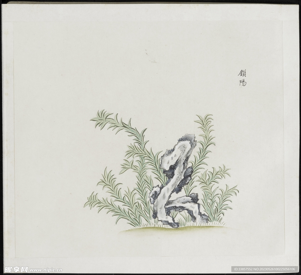 彩绘本草           