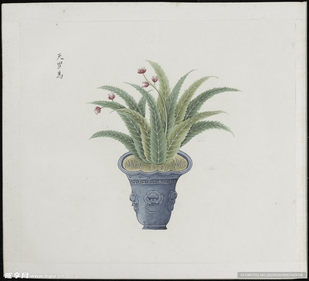 彩绘本草           