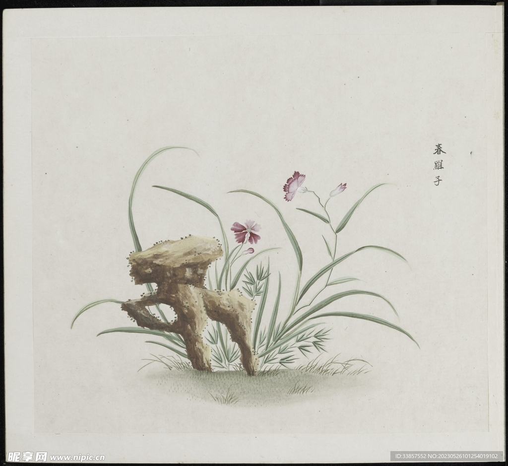 彩绘本草           
