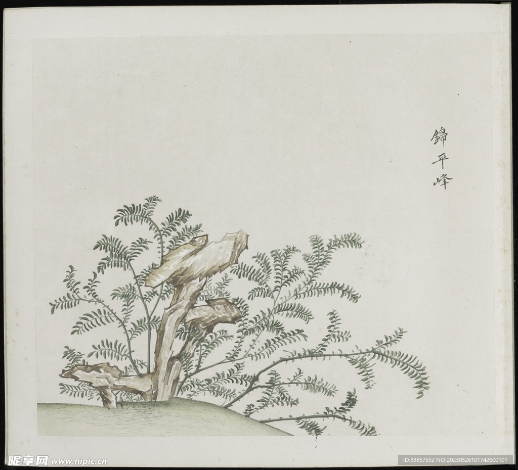 彩绘本草           