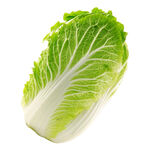 大白菜