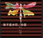 蜻蜓 蝴蝶 手绘