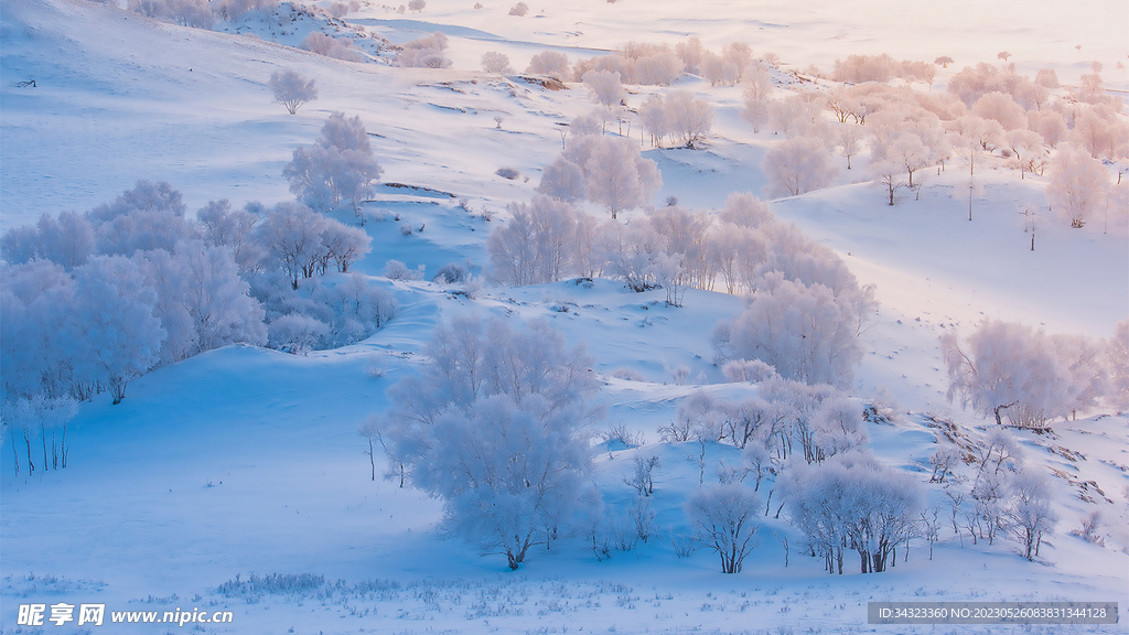白雪地