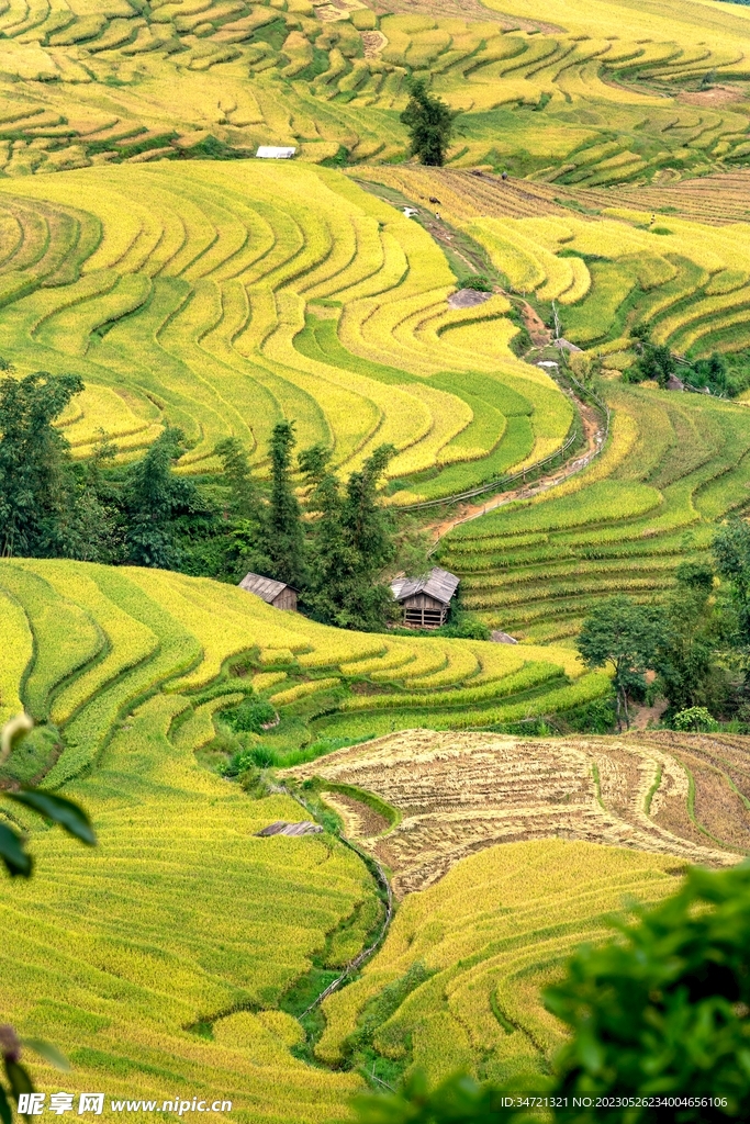 梯田