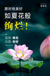 六月你好