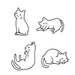 手绘猫咪插画 