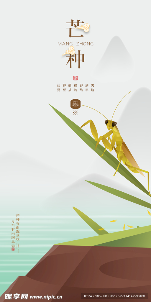 芒种