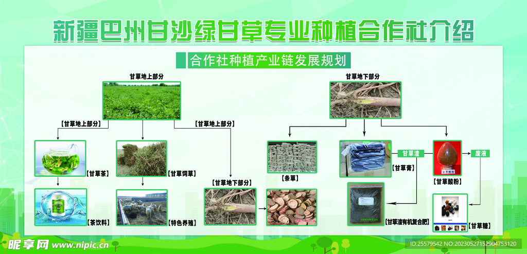 甘草合作发展规划链
