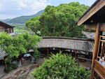 大树村庄